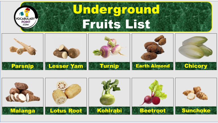Group Ingredients That Grow In The Ground 50+ Fruits That Grow In The Ground - Vocabulary Point