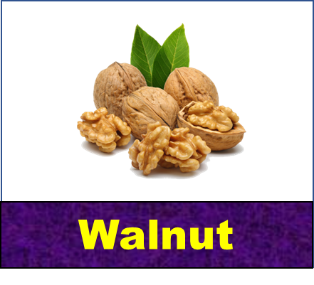 Walnut