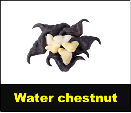 Water chestnut