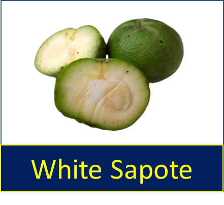 White Sapote