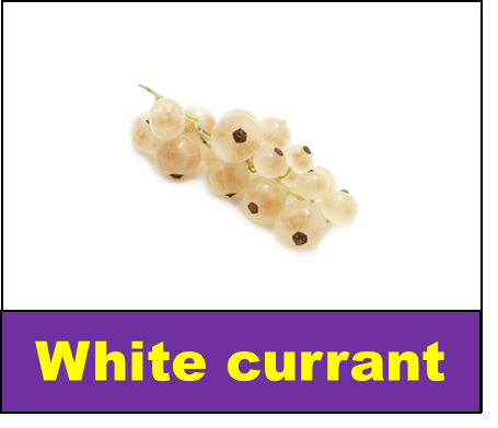 White currant