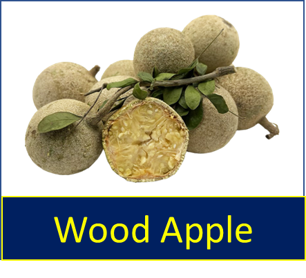 Wood Apple