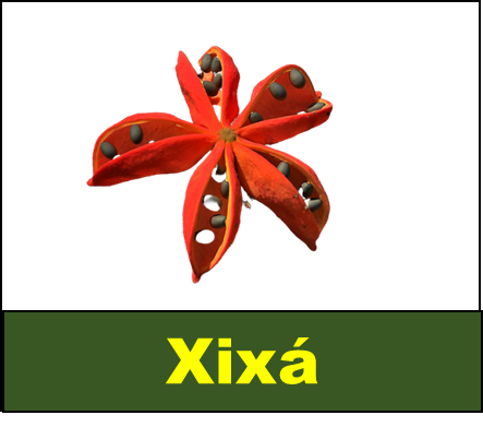 Xixá