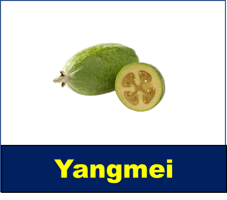 Yangmei