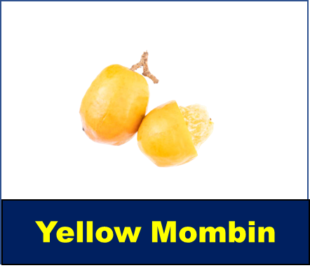 Yellow Mombin