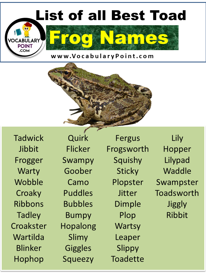 list of all Best Toad And Frog Names