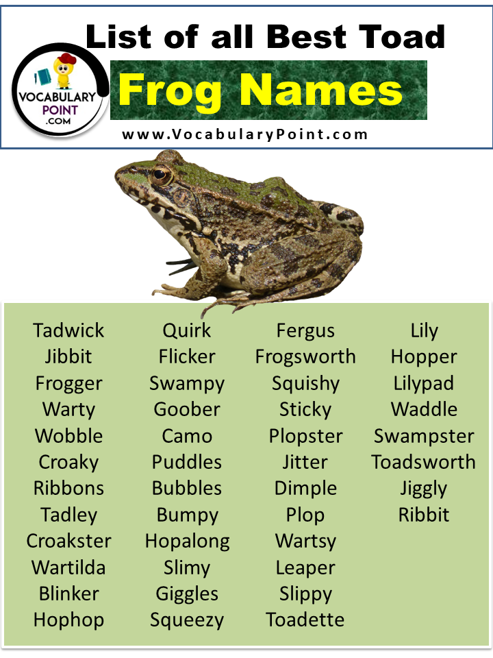 Discovering The Fascinating World Of Frog Names: A Comprehensive Guide