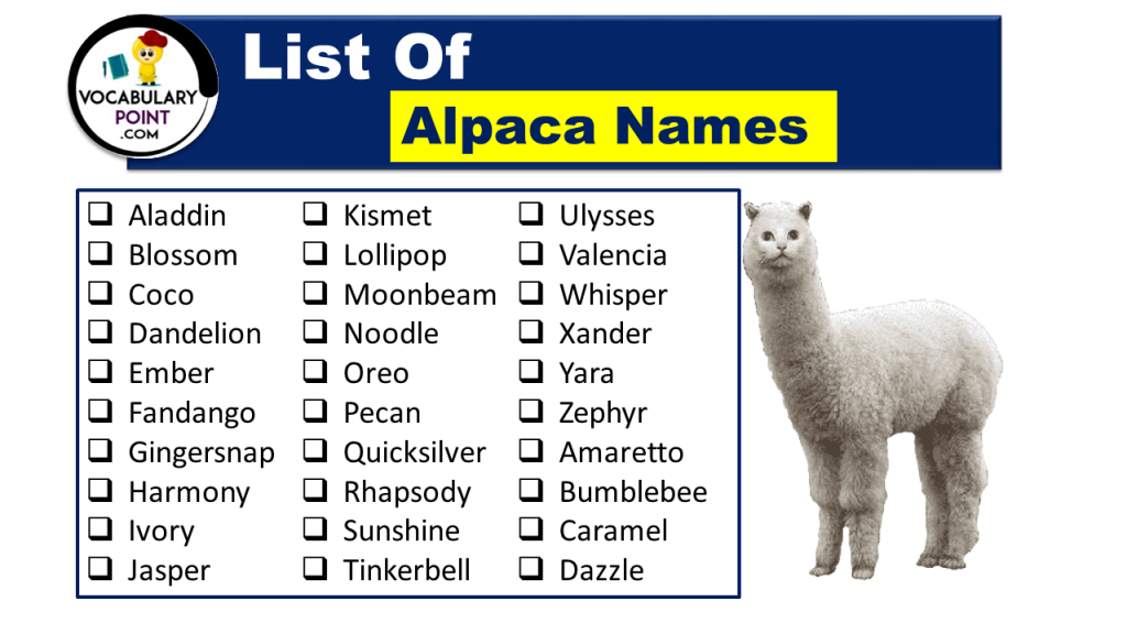 List Of Alpaca Names (Best, Funny, Cute, Male& Female) Vocabulary Point