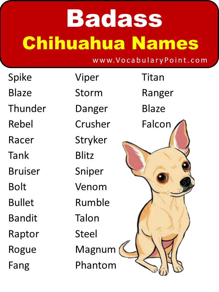 Badass Chihuahua Names