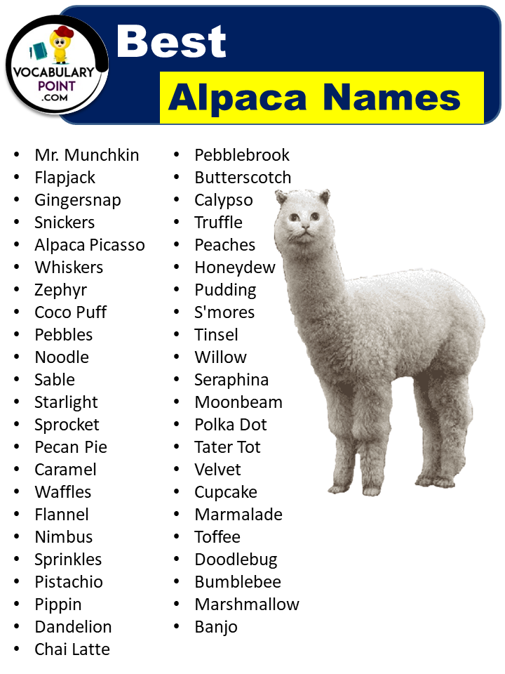 Best Alpaca Names