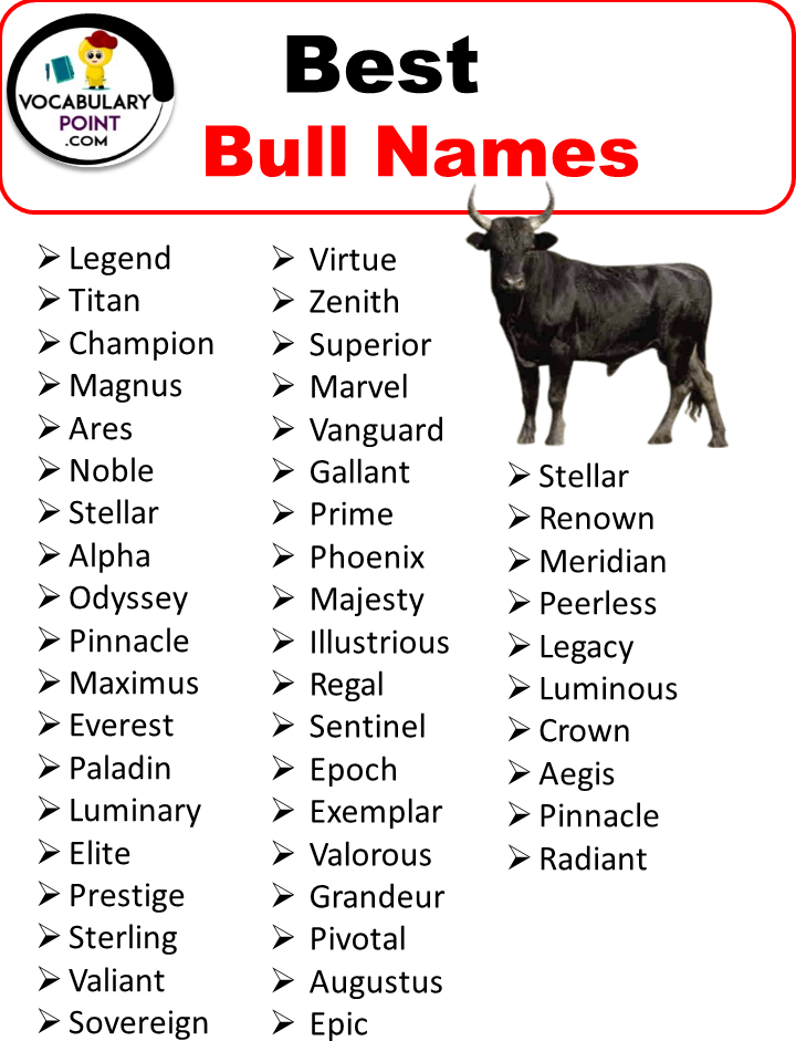 Best Bull Names