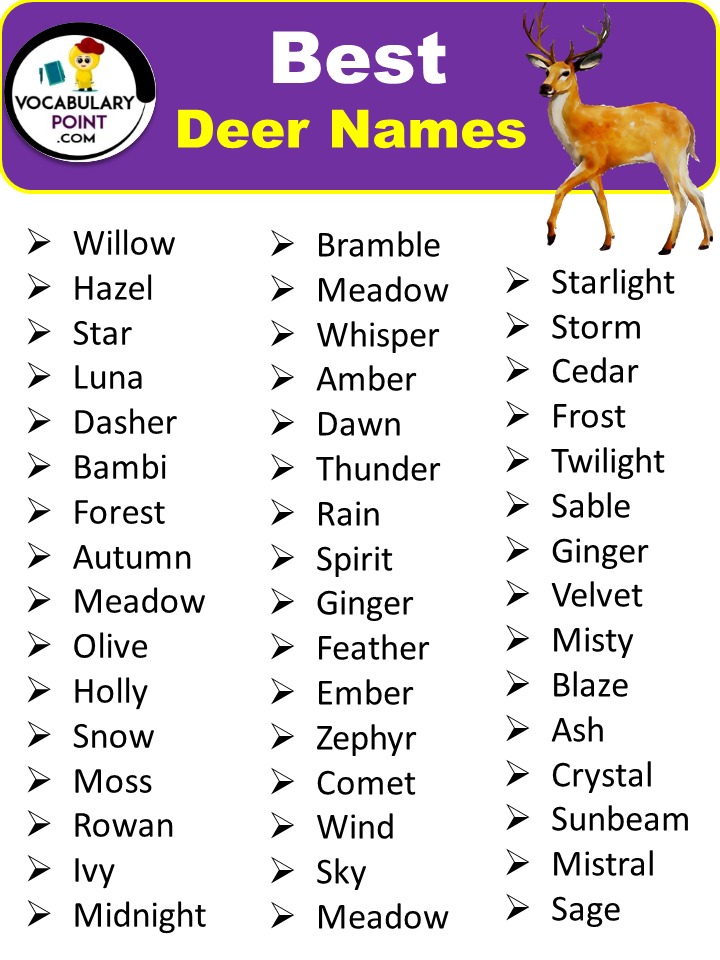 300 Best Deer Names Pet Cute Cool Vocabulary Point