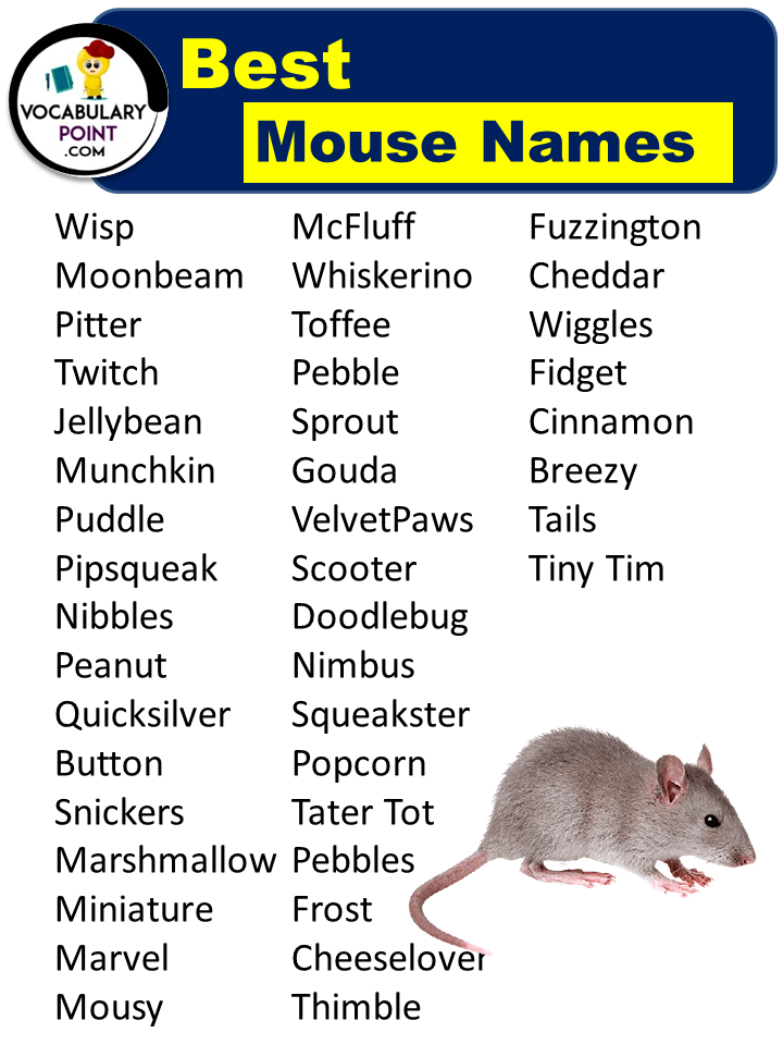 Best Mouse Names