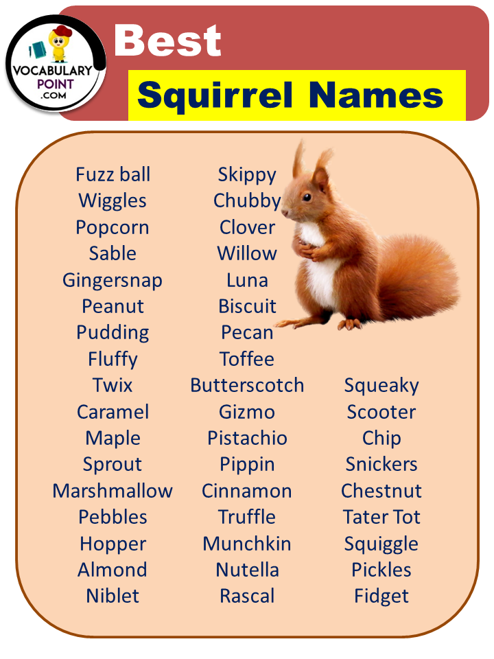 Best Squirrel Names