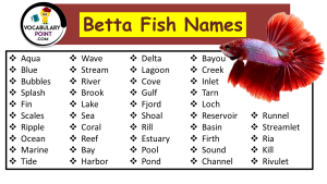 120+ Adorable Betta Fish Names - Vocabulary Point