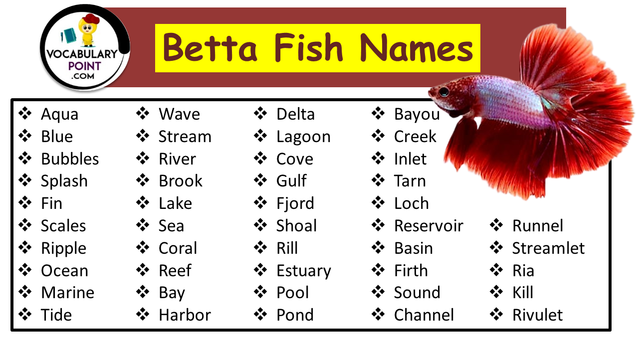 120 Adorable Betta Fish Names Vocabulary Point