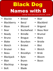 250+ Dog Names That Start With B - Vocabulary Point