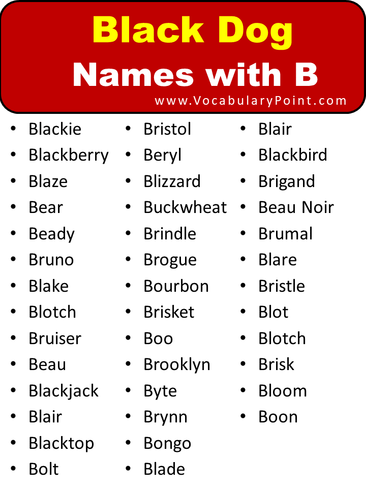 Black Dog Names with B