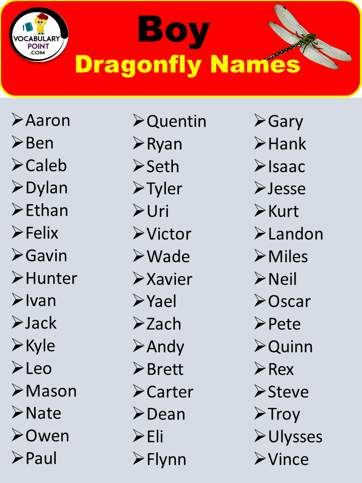 Boy Dragonfly Names