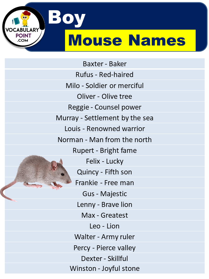 Boy Mouse Names