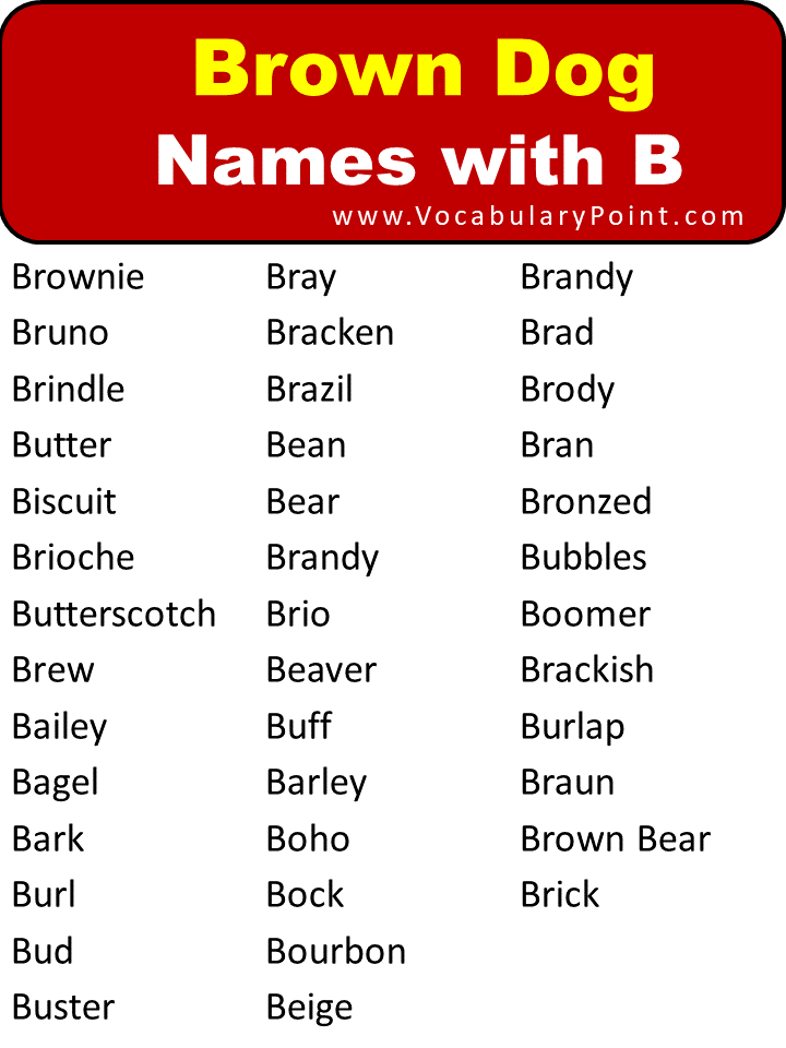Brown Dog Names with B