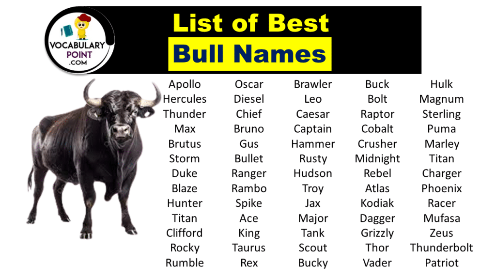 350-bull-names-funny-strong-pet-naming-ideas-vocabulary-point