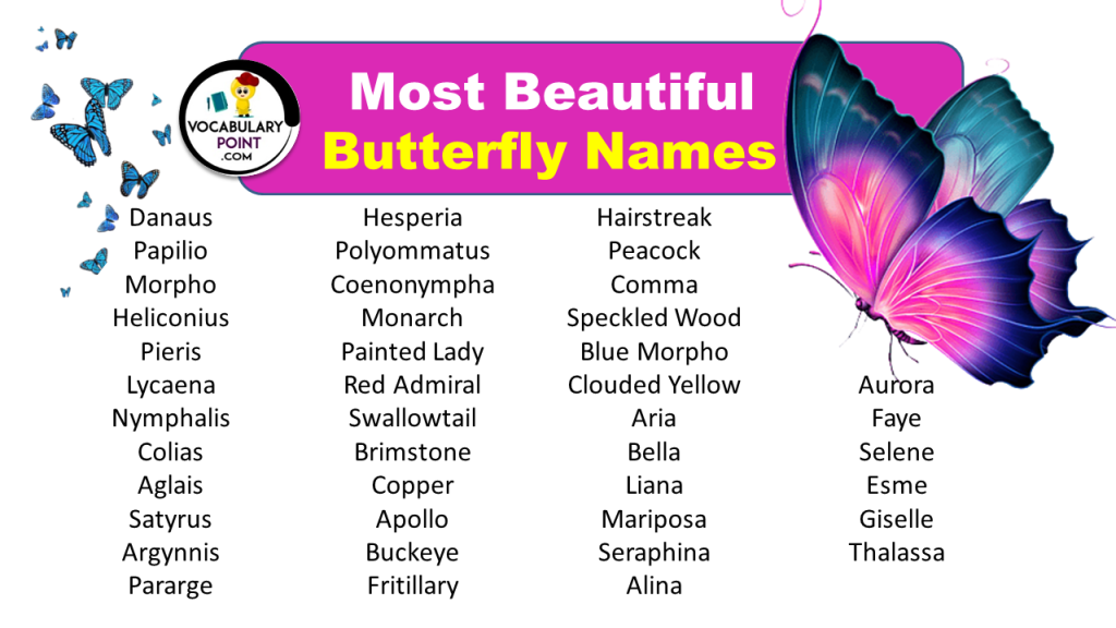 170-beautiful-butterfly-names-cute-colourful-vocabulary-point