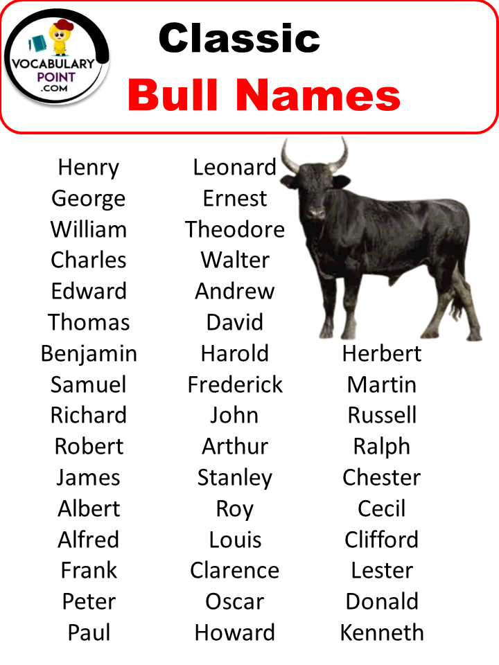 350+ Bull Names (Funny, Strong & Pet Naming Ideas) Vocabulary Point