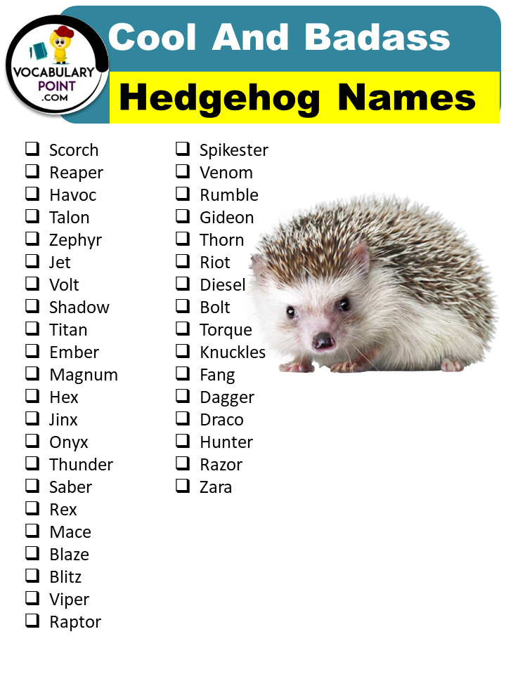 Cool And Badass Hedgehog Names