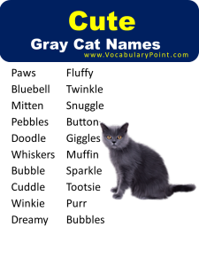 270+ Best Names for Gray Cats - Vocabulary Point