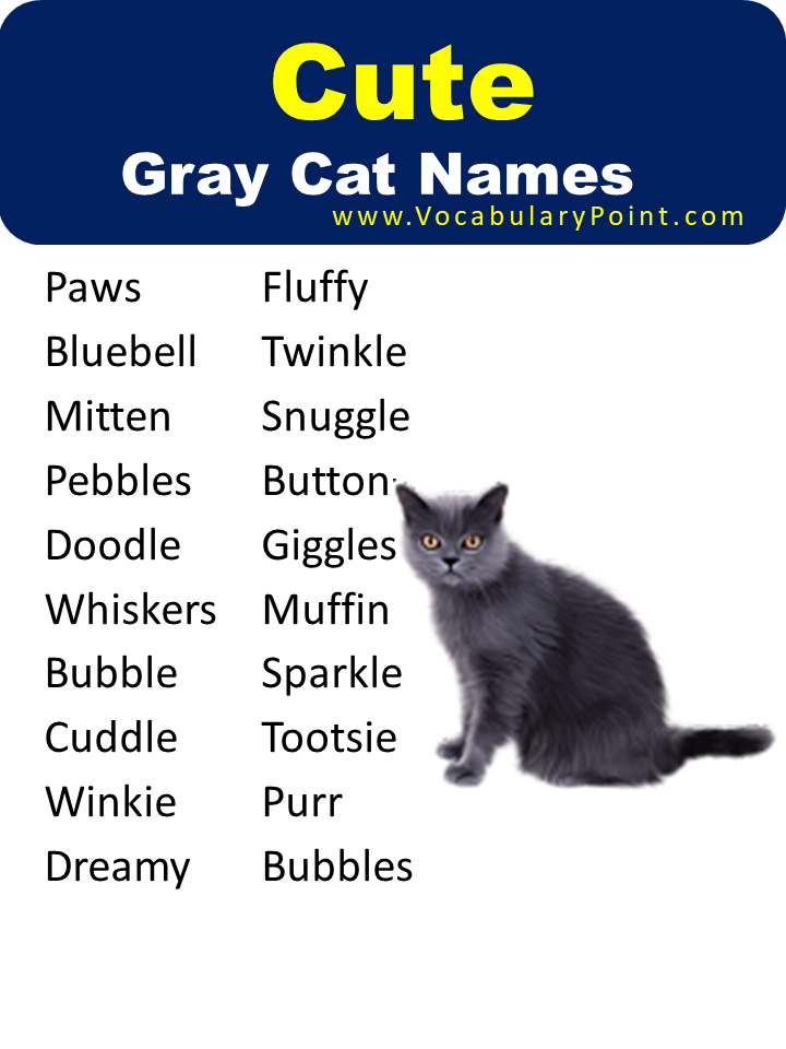 Cute Gray Cat Names