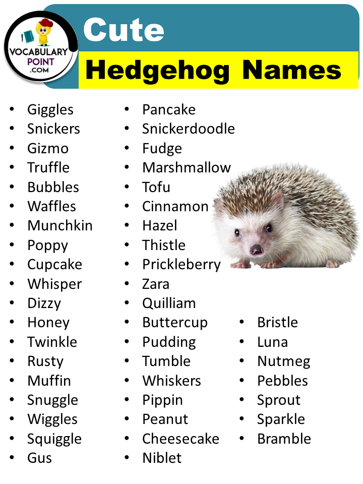Cute Hedgehog Names