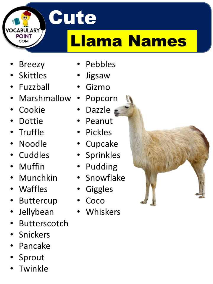 Cute Llama Names