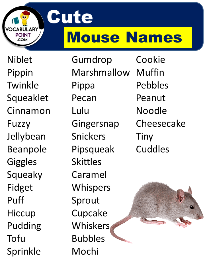 Cute Mouse Names