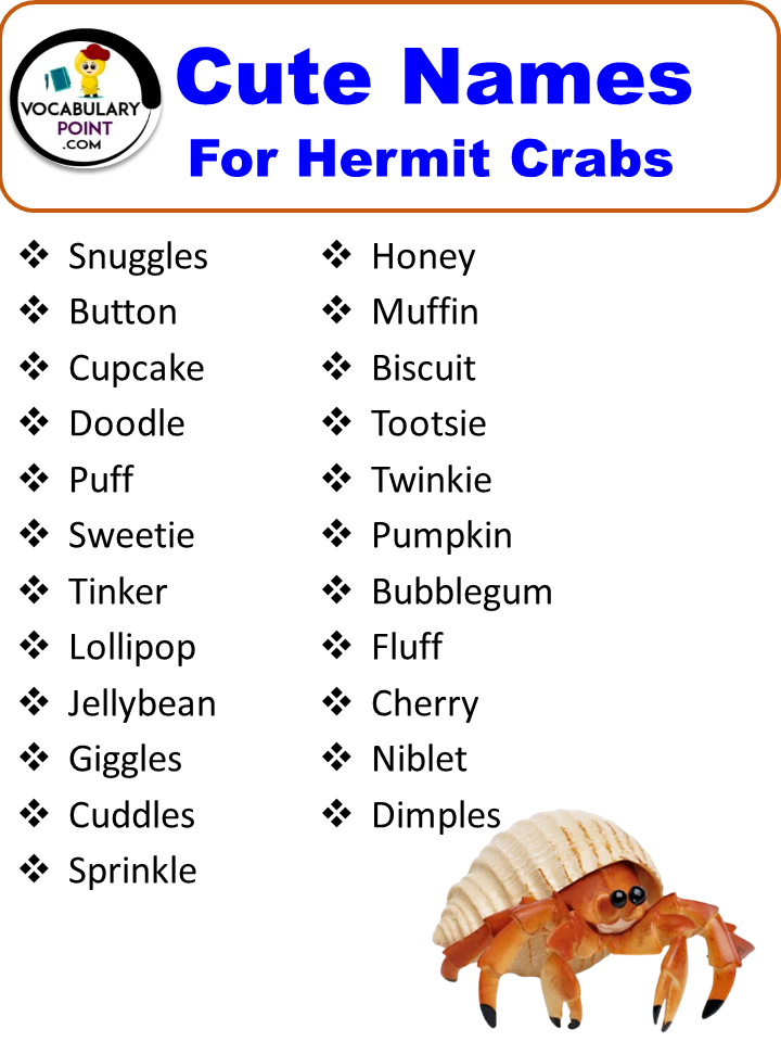 250+ Best Hermit Crab Names (Cute, Funny and Cool ideas) - Vocabulary Point