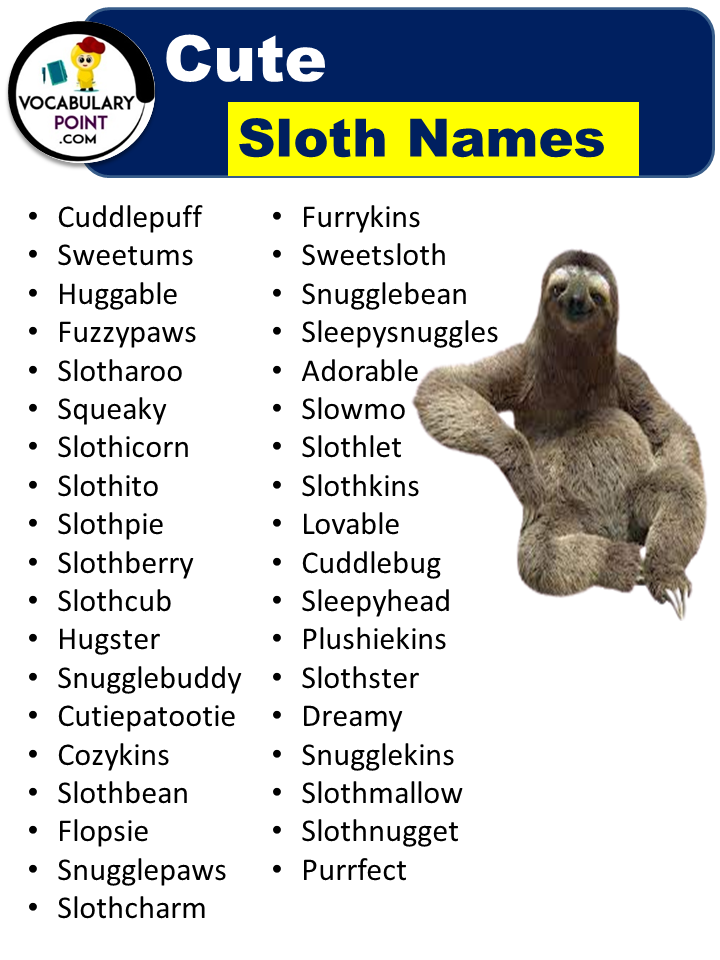 Cute Sloth Names