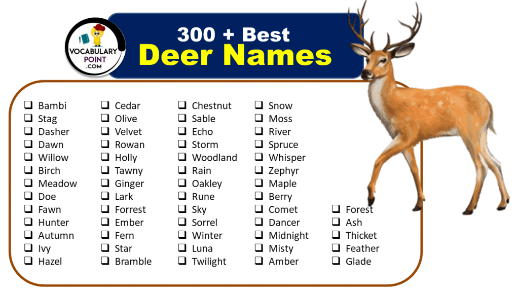 300 Best Deer Names Pet Cute Cool Vocabulary Point   Deer Names 1024x576 