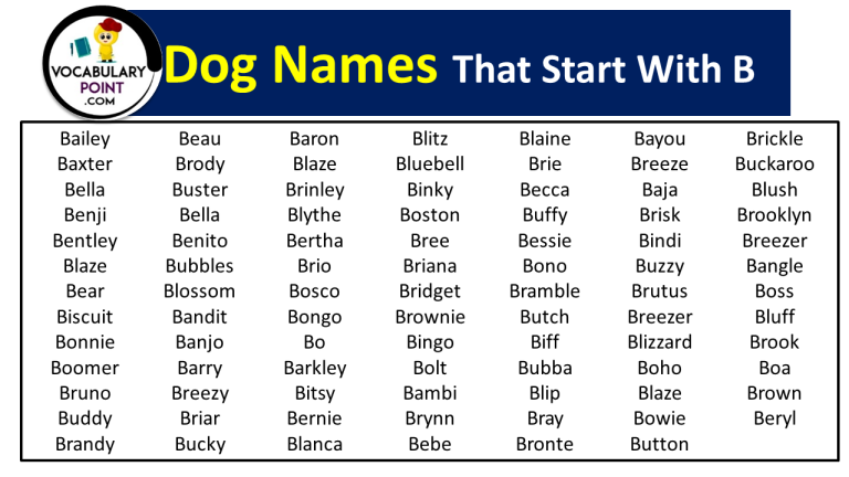 250-dog-names-that-start-with-b-vocabulary-point