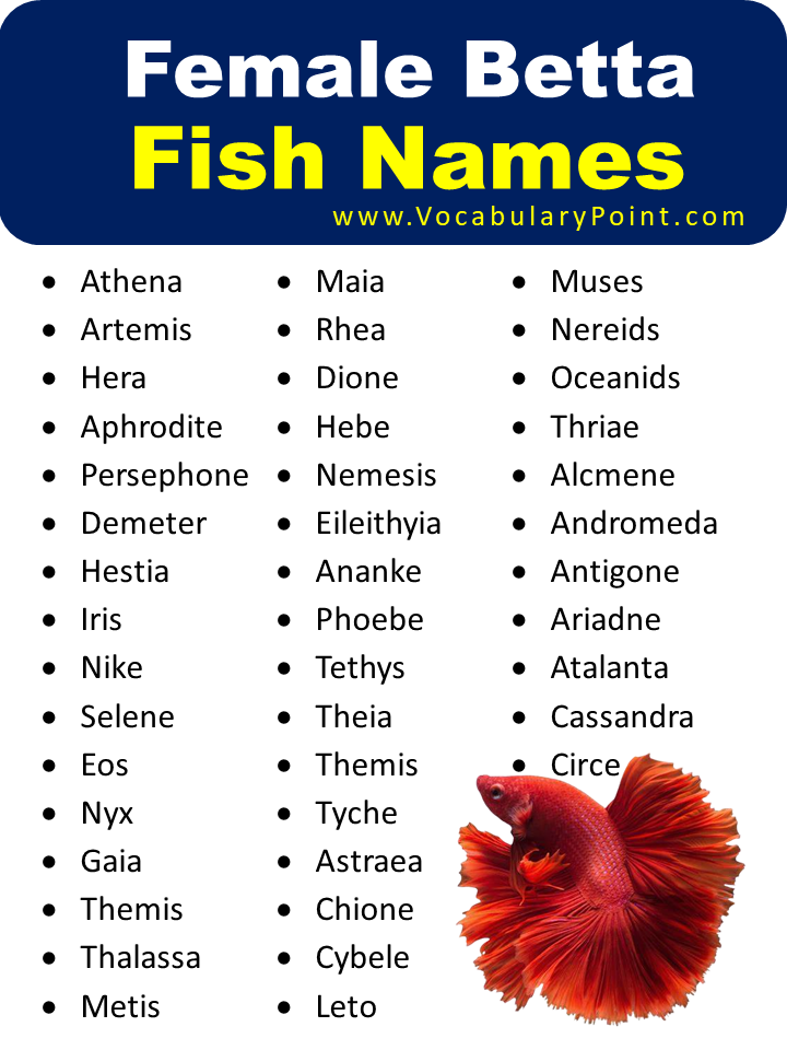 Female Betta Fish Names
