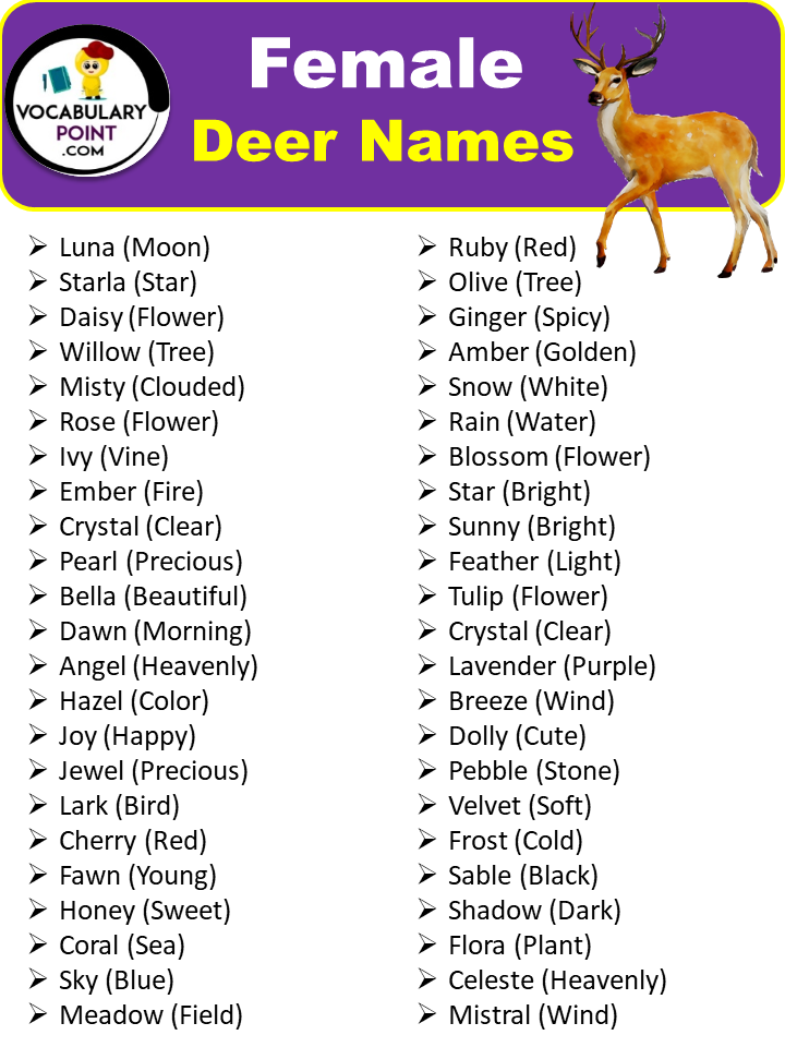300 Best Deer Names Pet Cute Cool Vocabulary Point