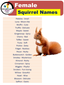Best Squirrel Names (Cute, Funny, Male & Female) - Vocabulary Point