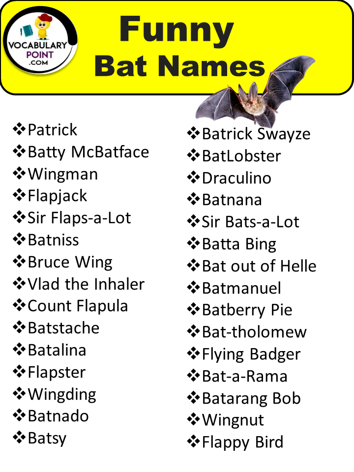 Funny Bat Names