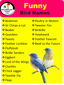 350+ Best Bird Names (Pet, Funny and Cool) - Vocabulary Point