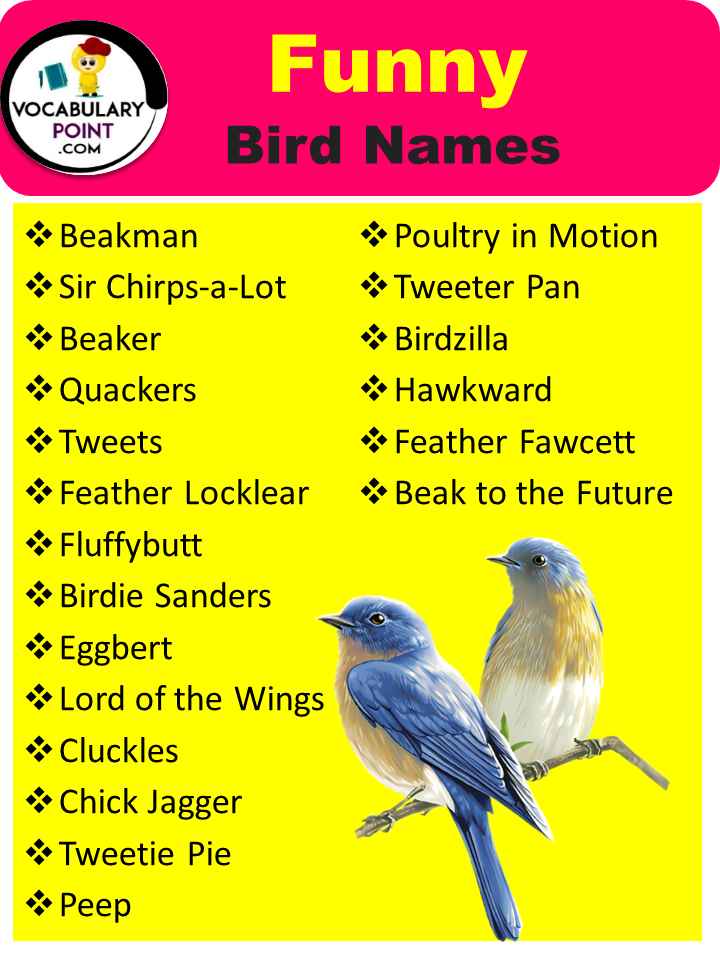 Funny Bird Names