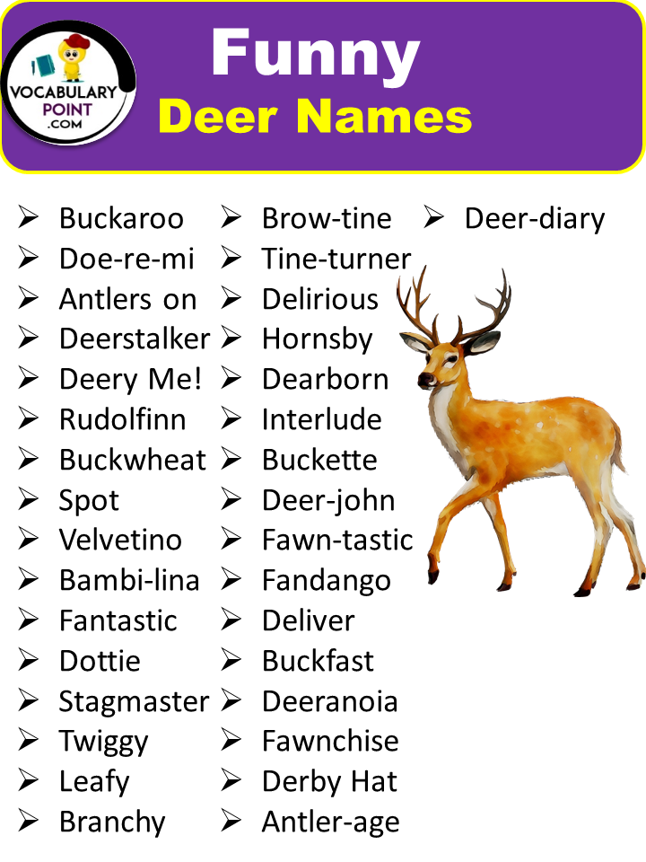 Funny Deer Names