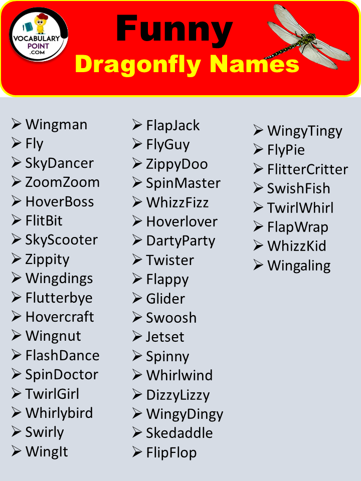 Funny Dragonfly Names