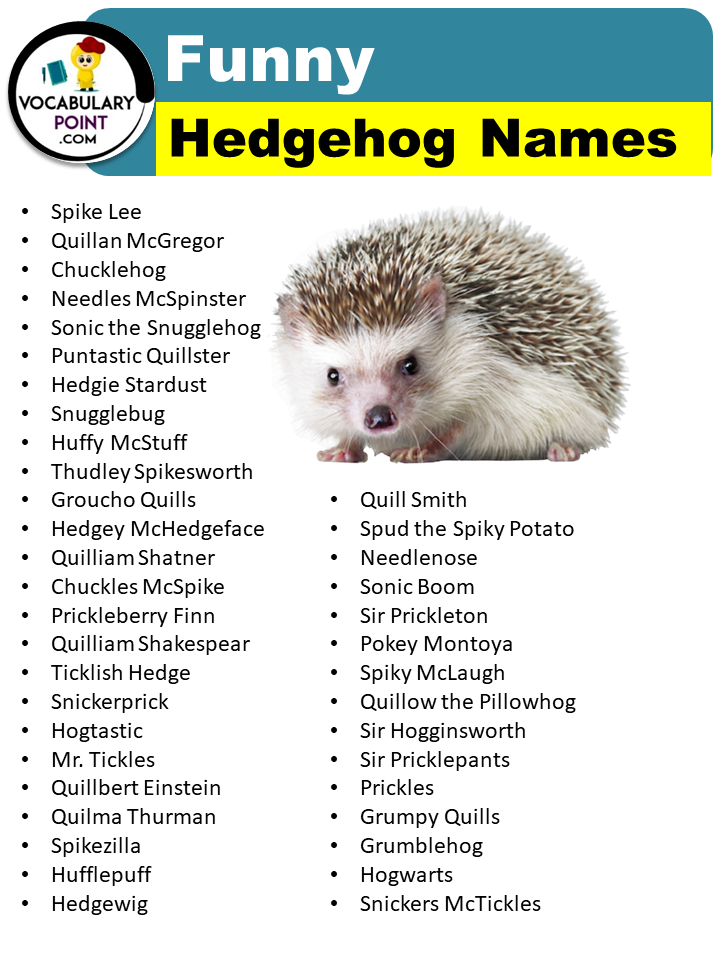 Funny Hedgehog Names