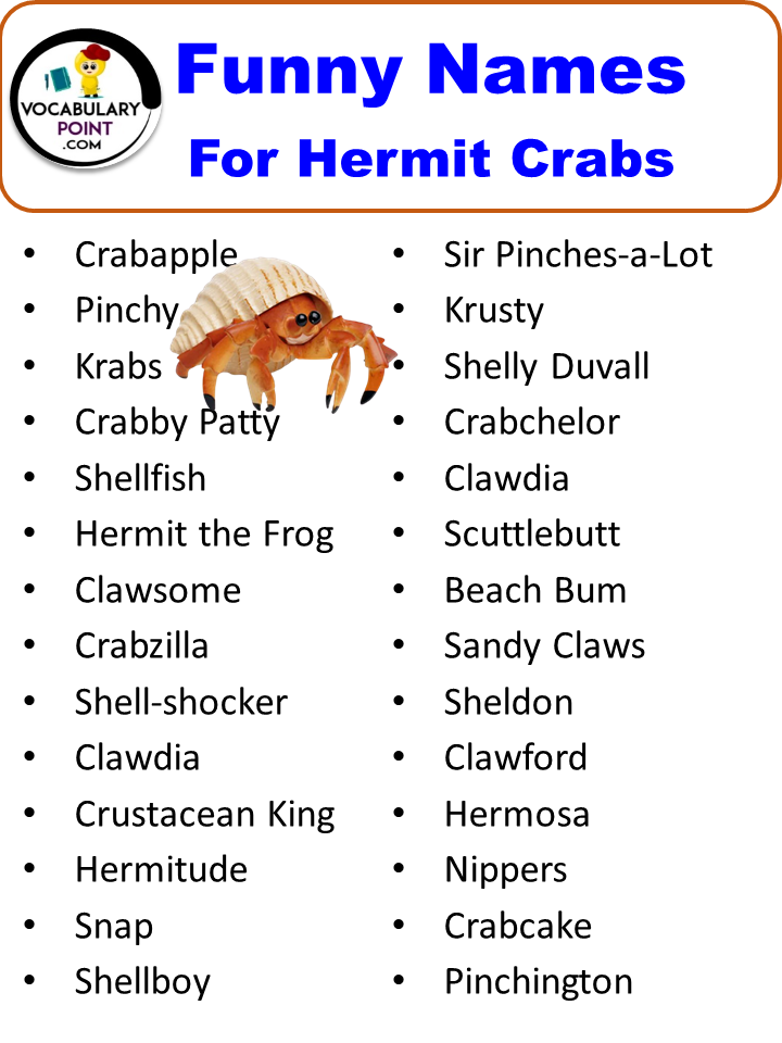 Funny Names For Hermit Crabs