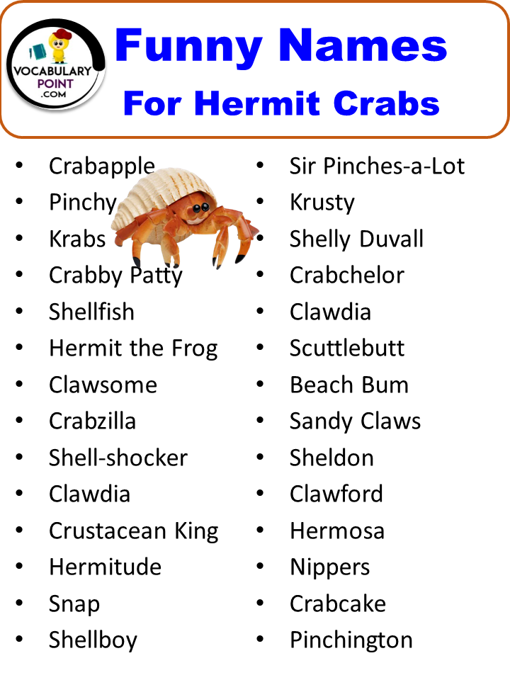 250+ Best Hermit Crab Names (Cute, Funny and Cool ideas) - Vocabulary Point