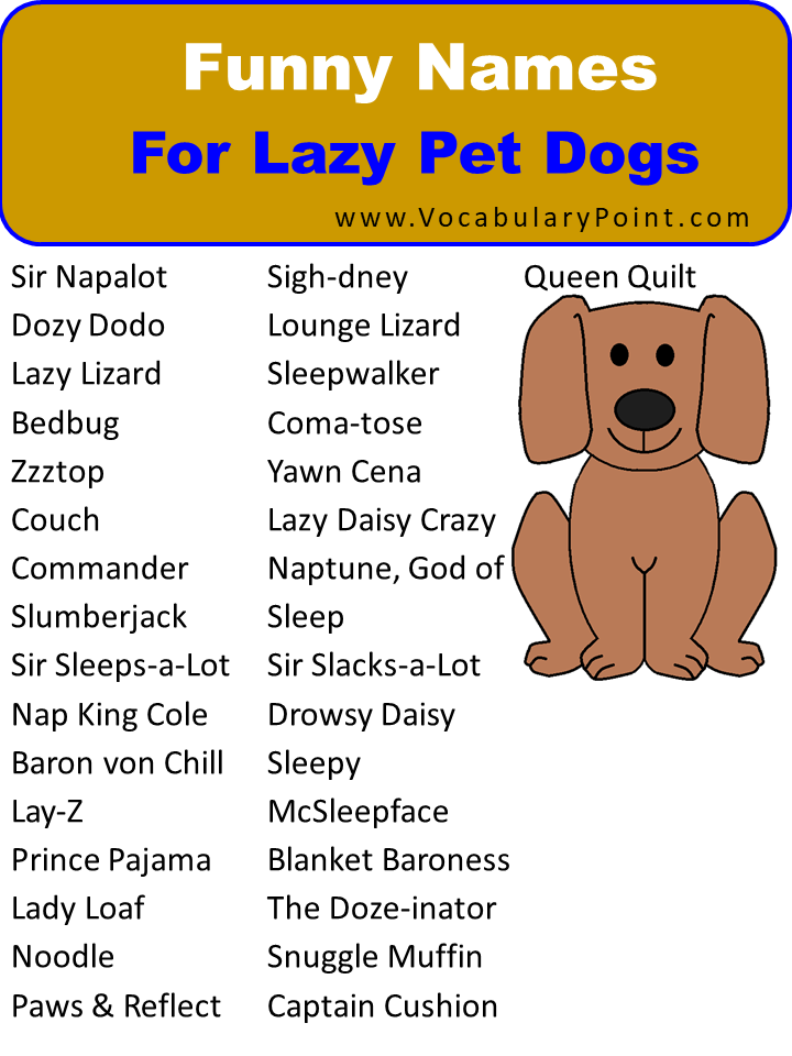 Funny Names For Lazy Pet Dogs